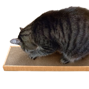 Cat Scratcher