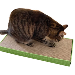 Cat Scratcher