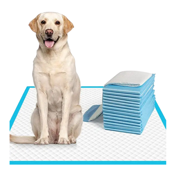 A yellow Labrador sitting on a disposable training pad next to a stacked set of blue and white puppy pee pads