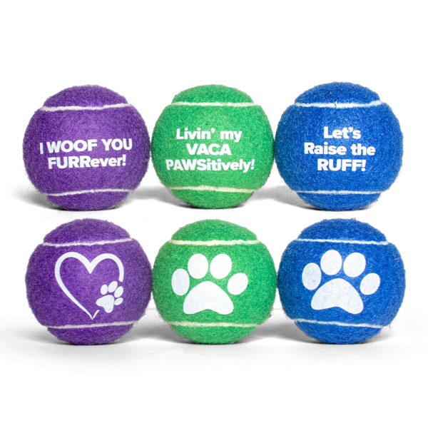 Six dog tennis balls in purple, green, and blue