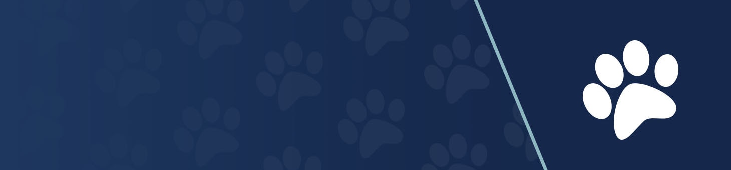 Pet Products